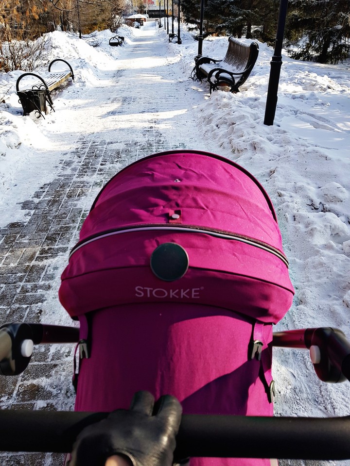 Stokke на зимней прогулке