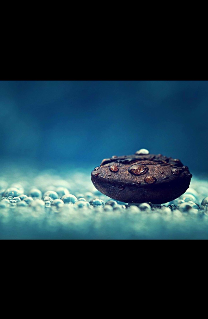 Spray on coffee beans