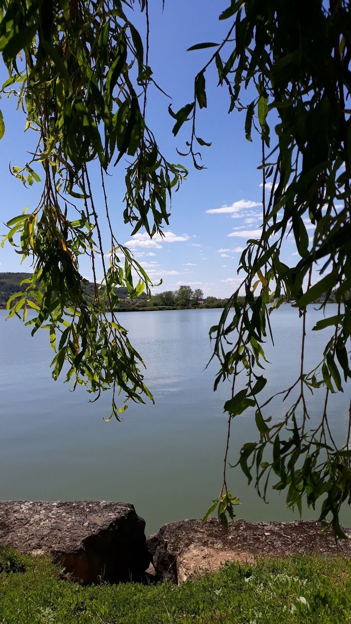 lac