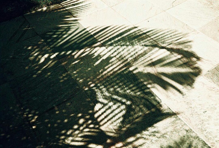 LISA HAWAII