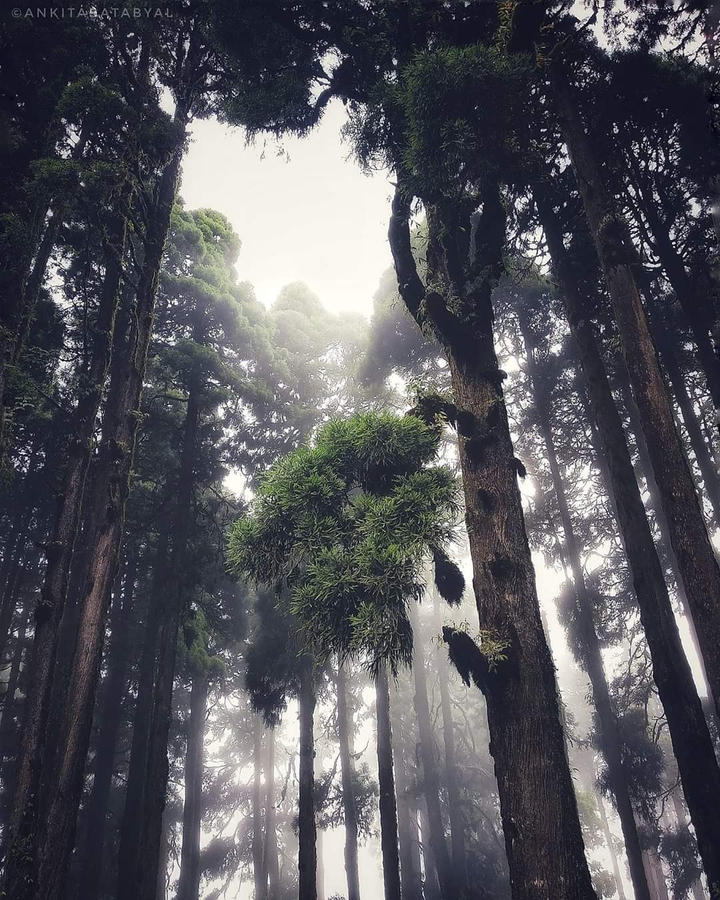 nature