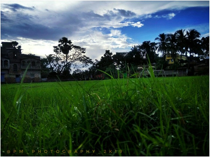 sunny day