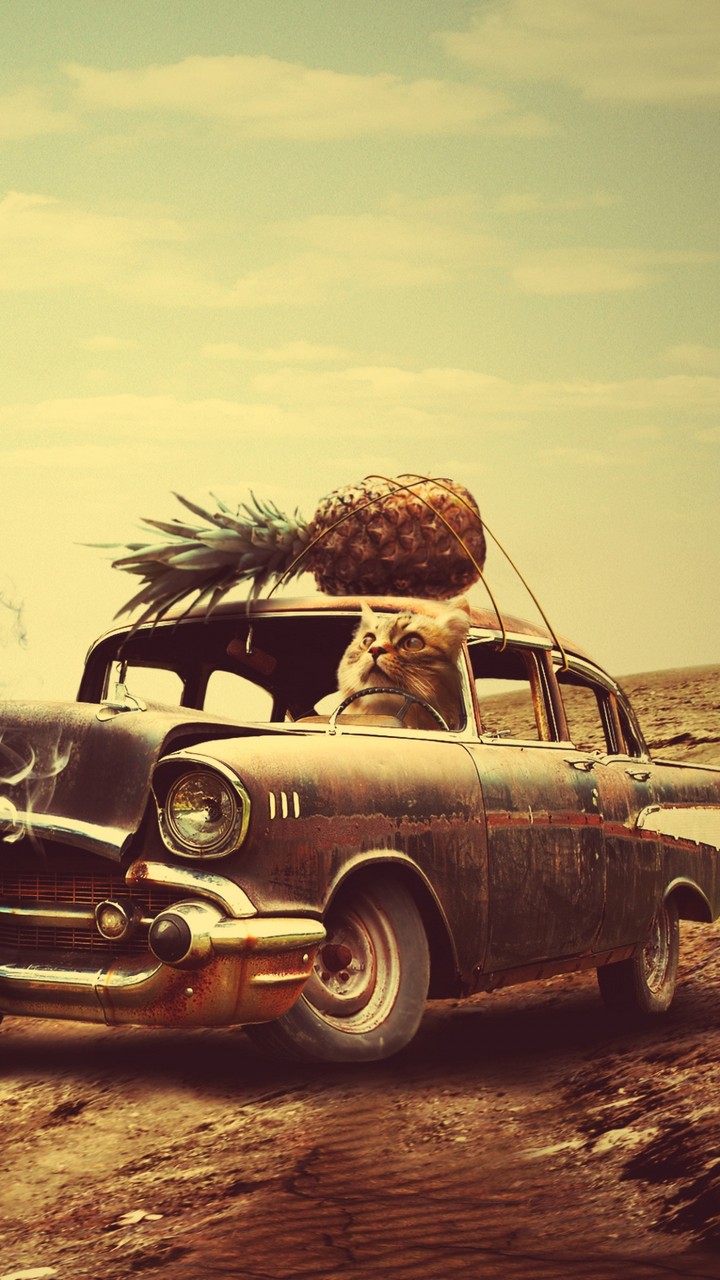 nice car