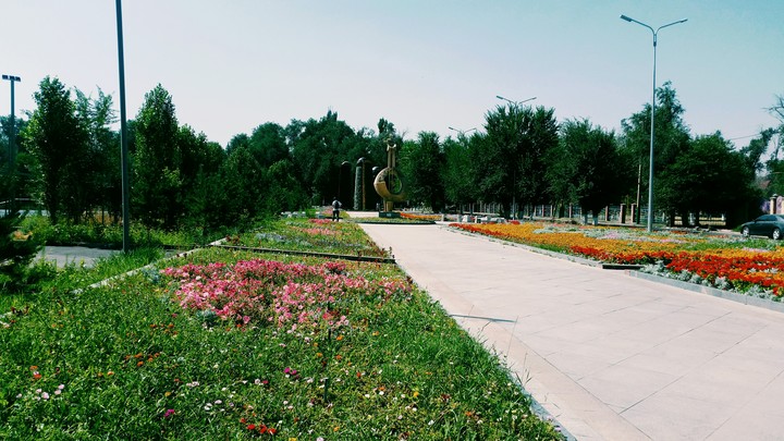 цветы