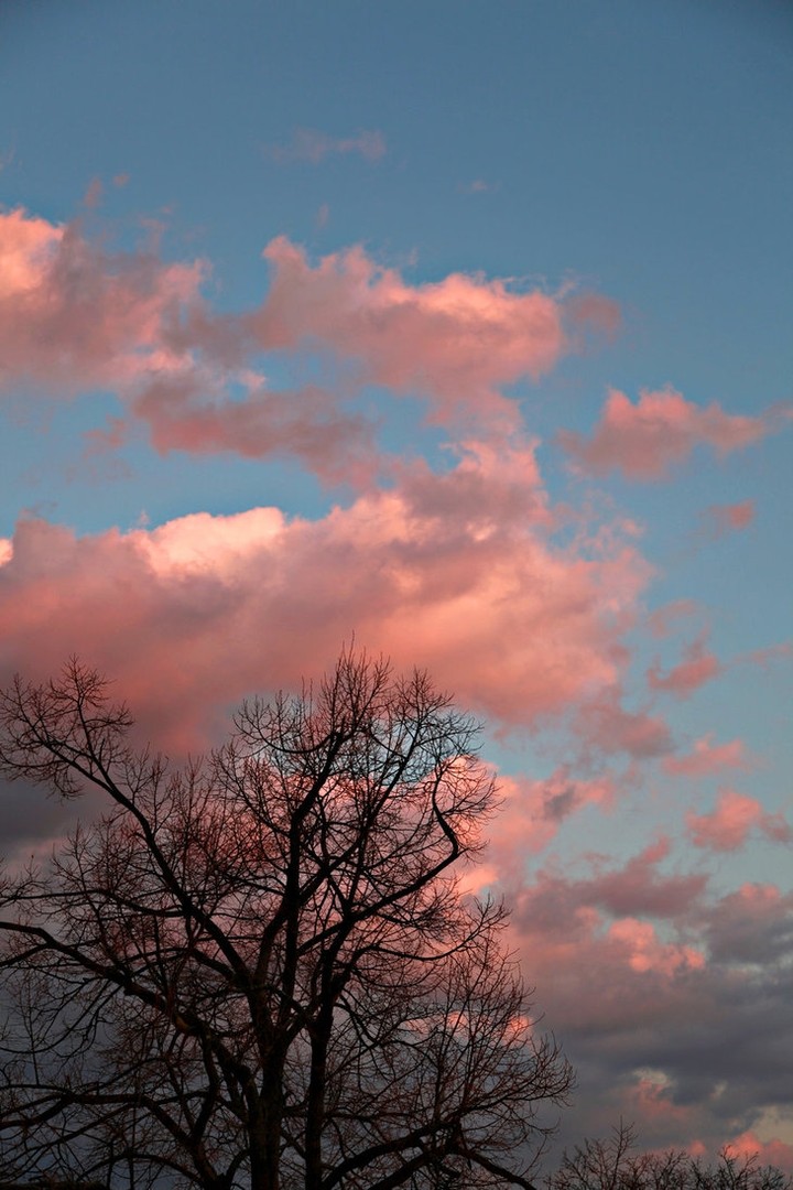 雲