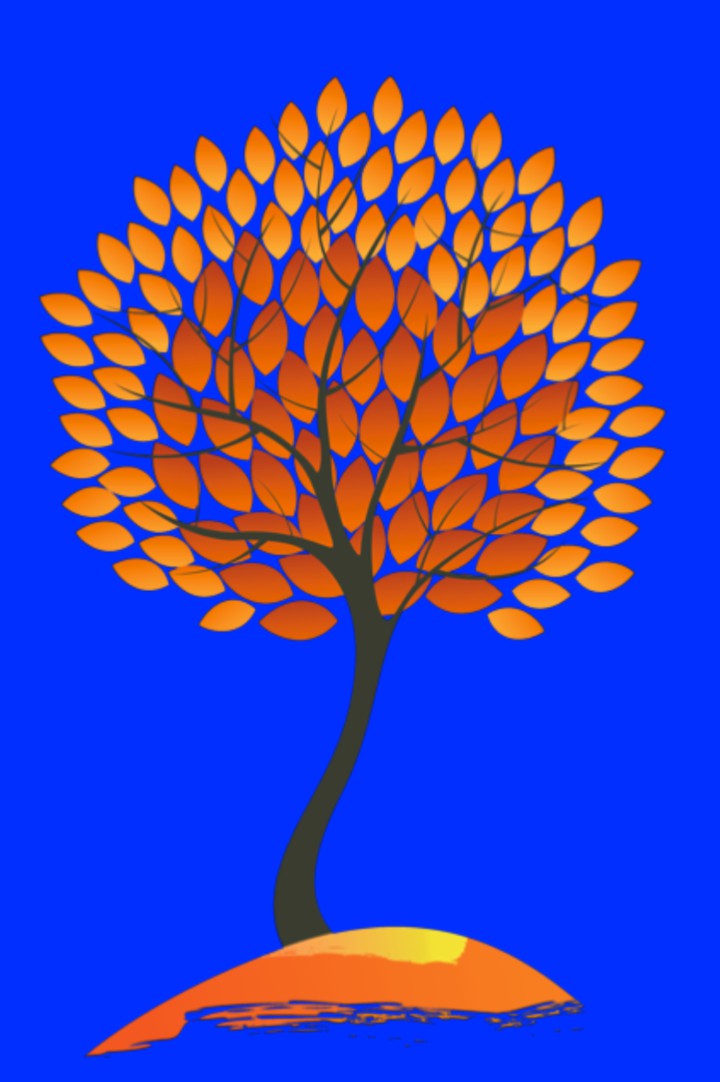 Sun kissed Tree