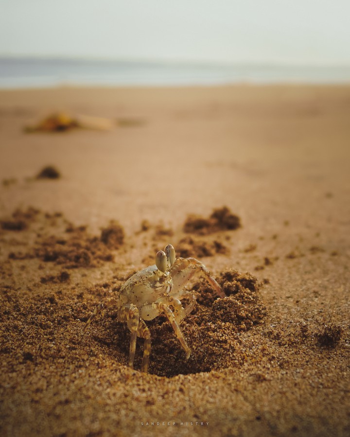 life on beach