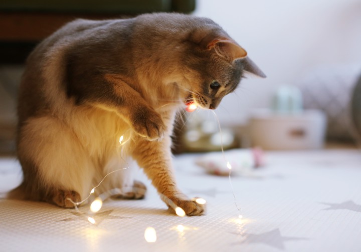 Light