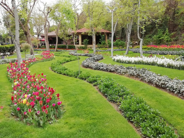 Iranian garden