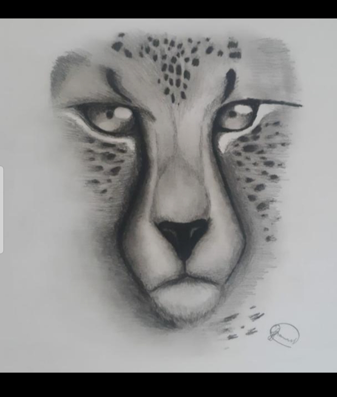art