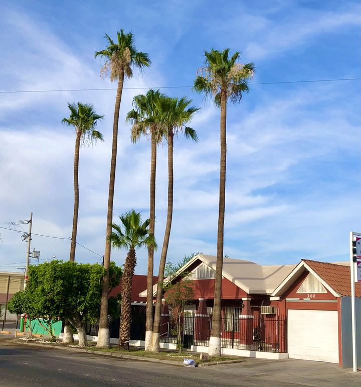 La Casa de Lucy