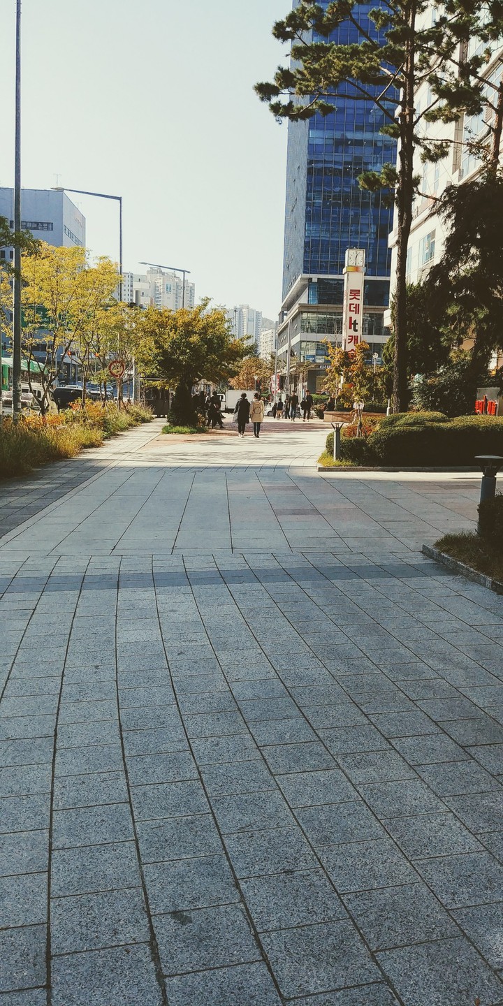 가을풍경