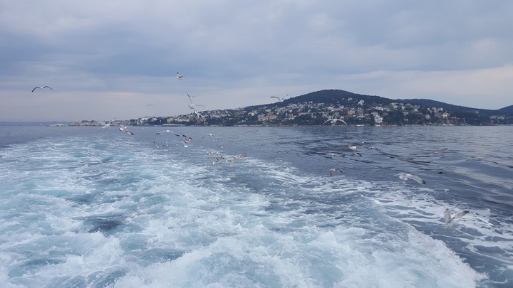 sea
