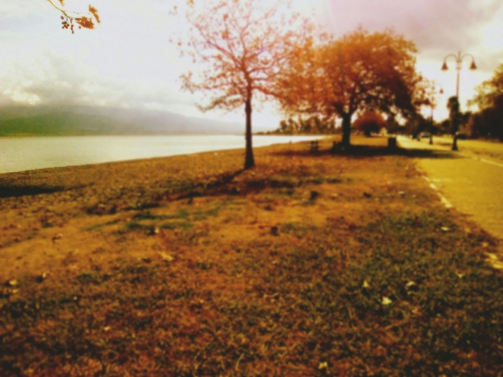 Paths