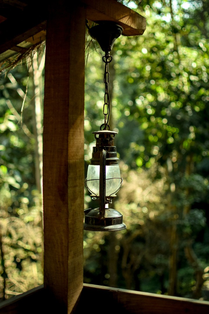 Nature lamp