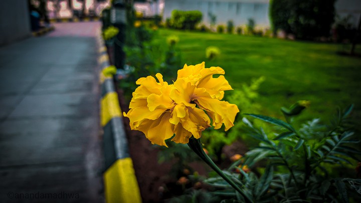 beauty of nature