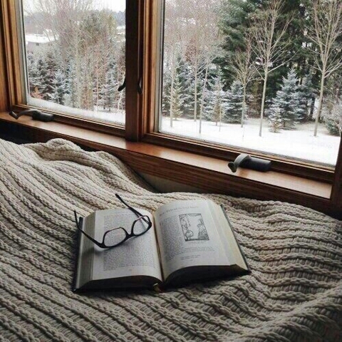 книга