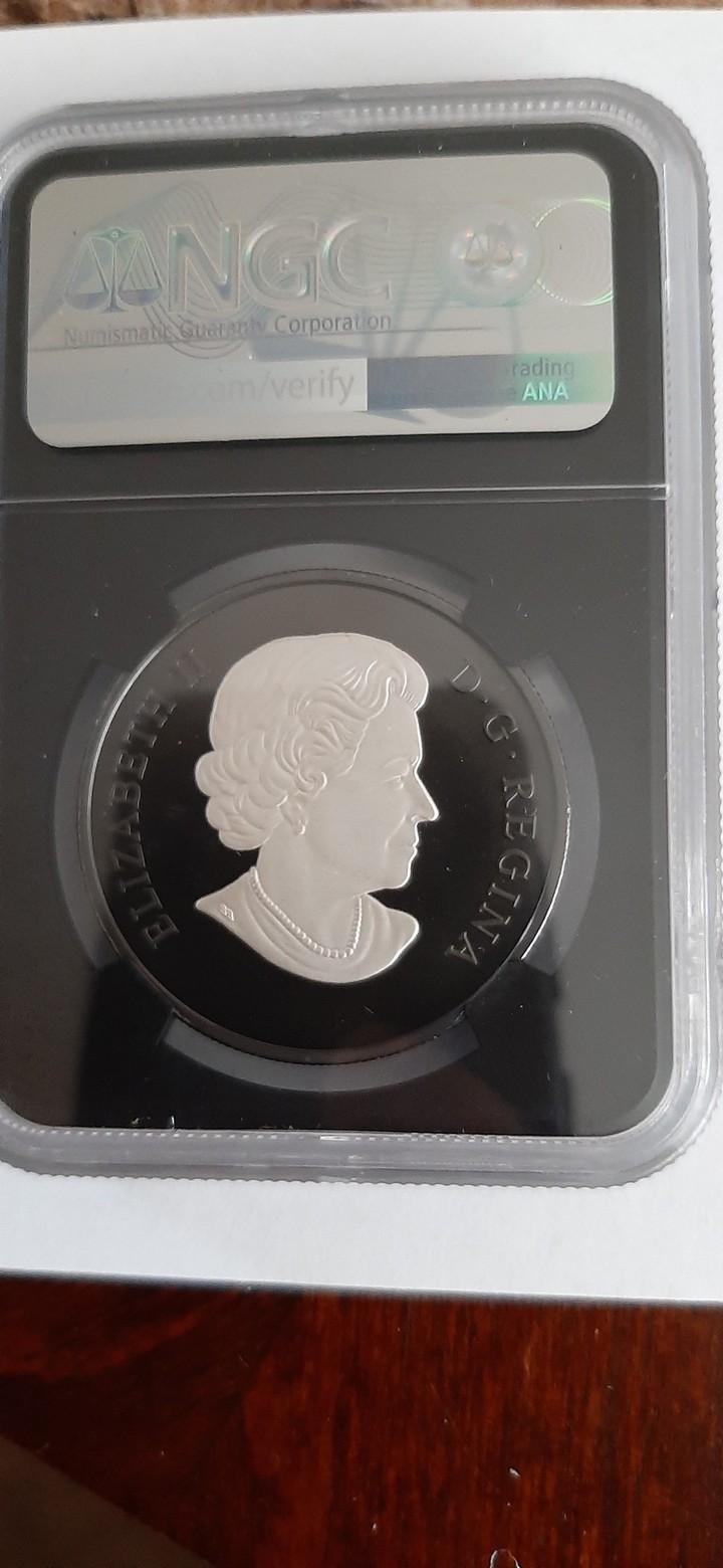 $20 Silver Canadian coin