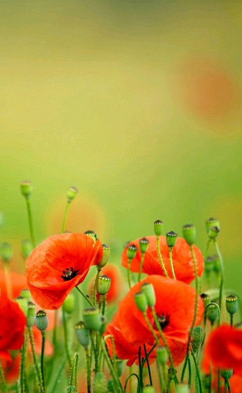 pretty