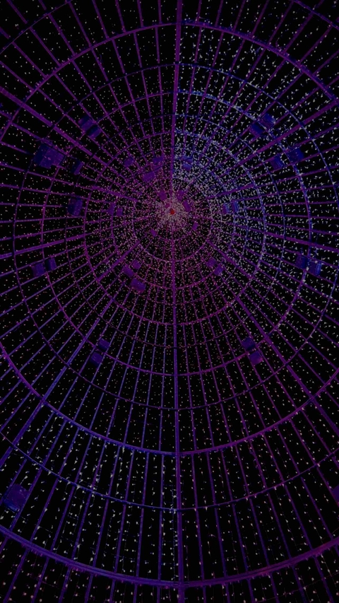 тапети violet, symmetry