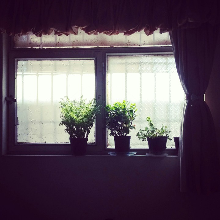 window