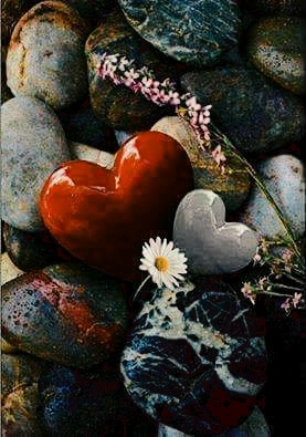 heart