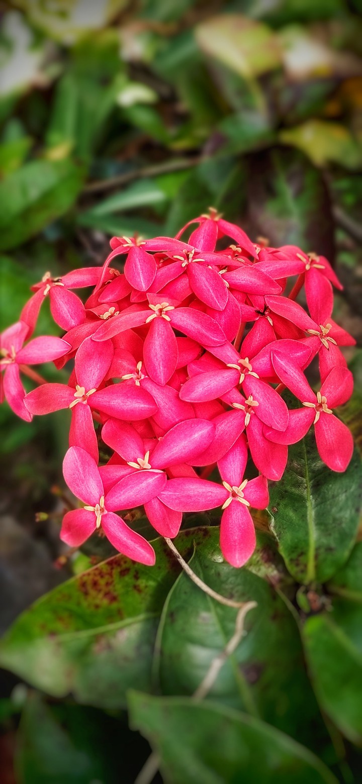 k20 pro camera click