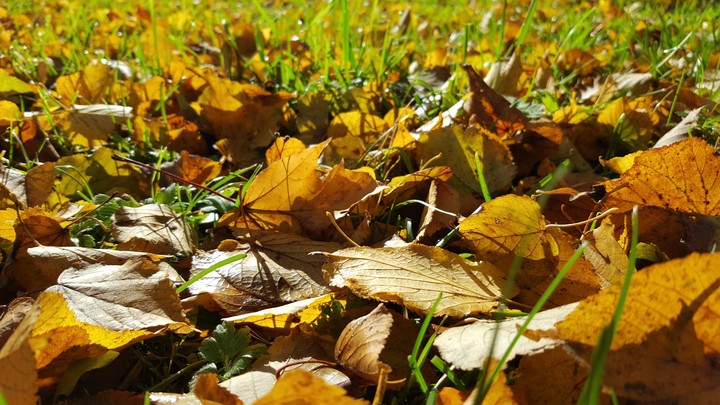 The best of autumn 