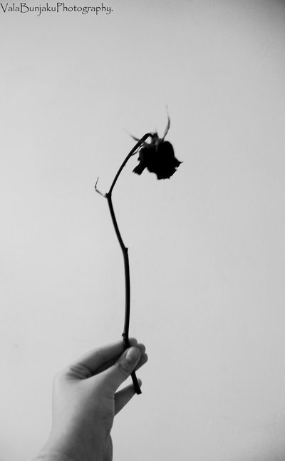 dont let go