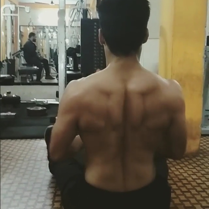 bodybuilding