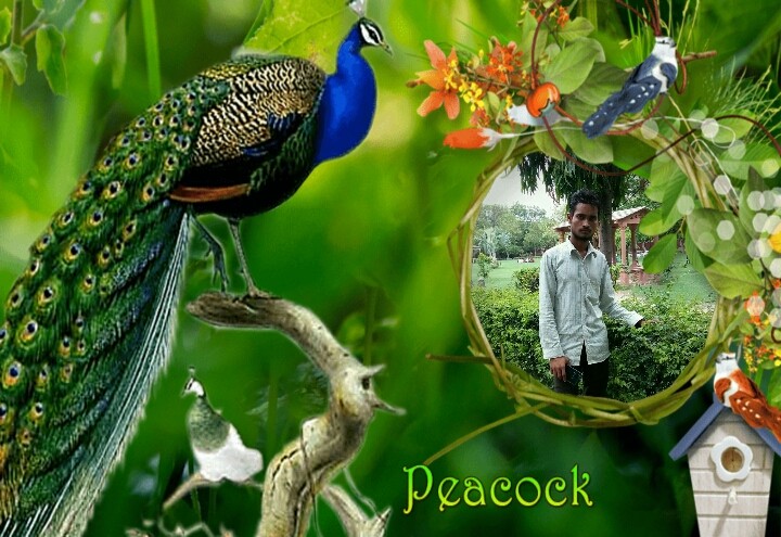 Abhishek Singh