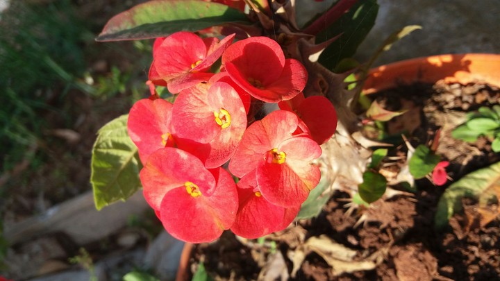 just for you bucuose you nice