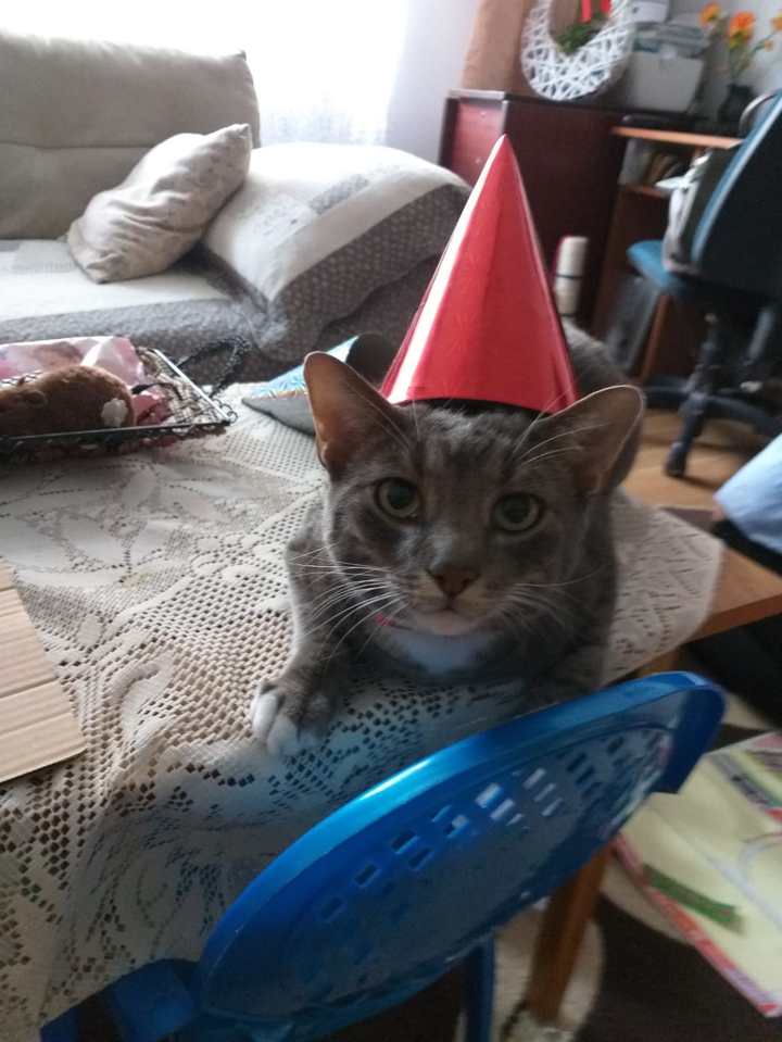 Happy b'day,Aschi!