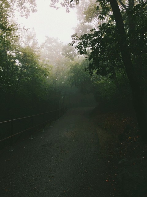 Mist