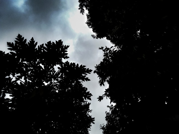 cloud
