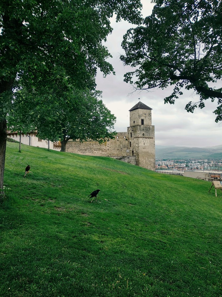Castle