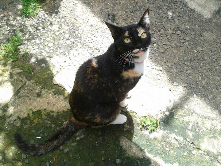 ★Madelaine★