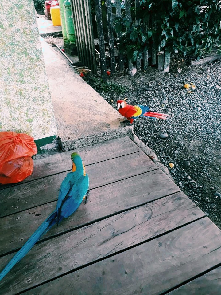 Friends