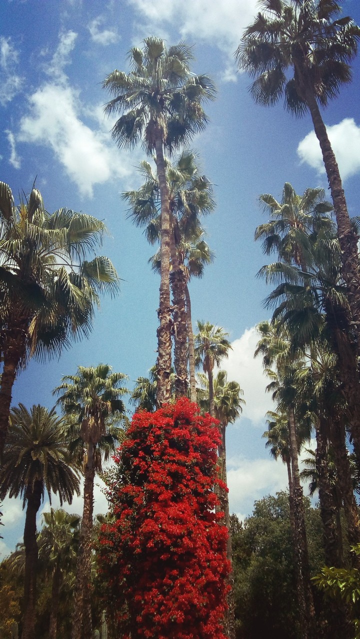 Marrakech ♥️