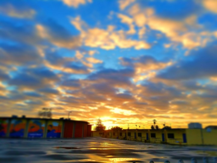Morning! 