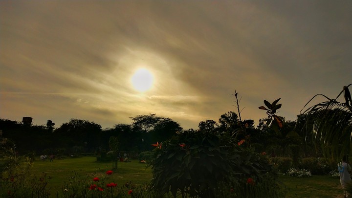 park