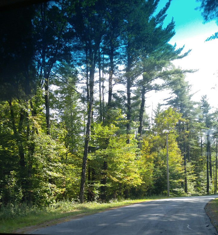 windshield