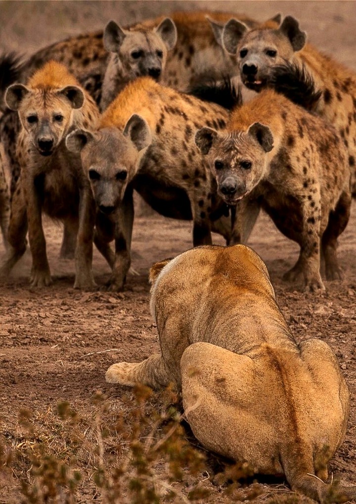 JUST HOLD UP BOYS
