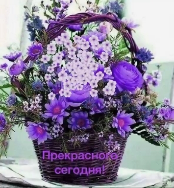 Good morning my friends.