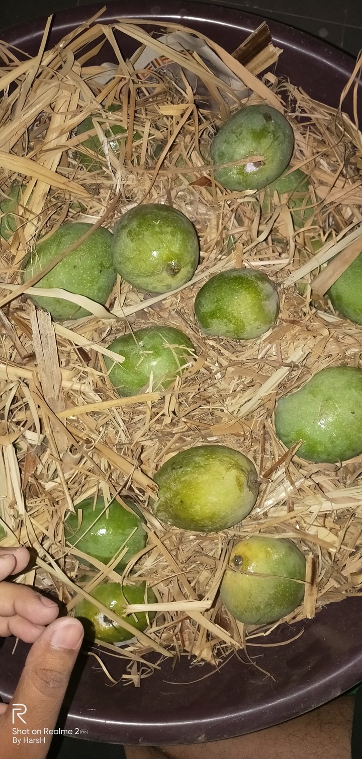 Mango