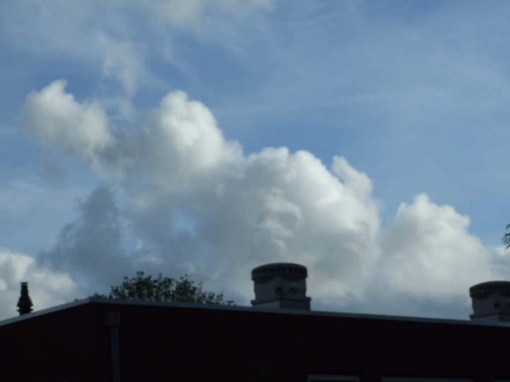 skeletal head cloud
