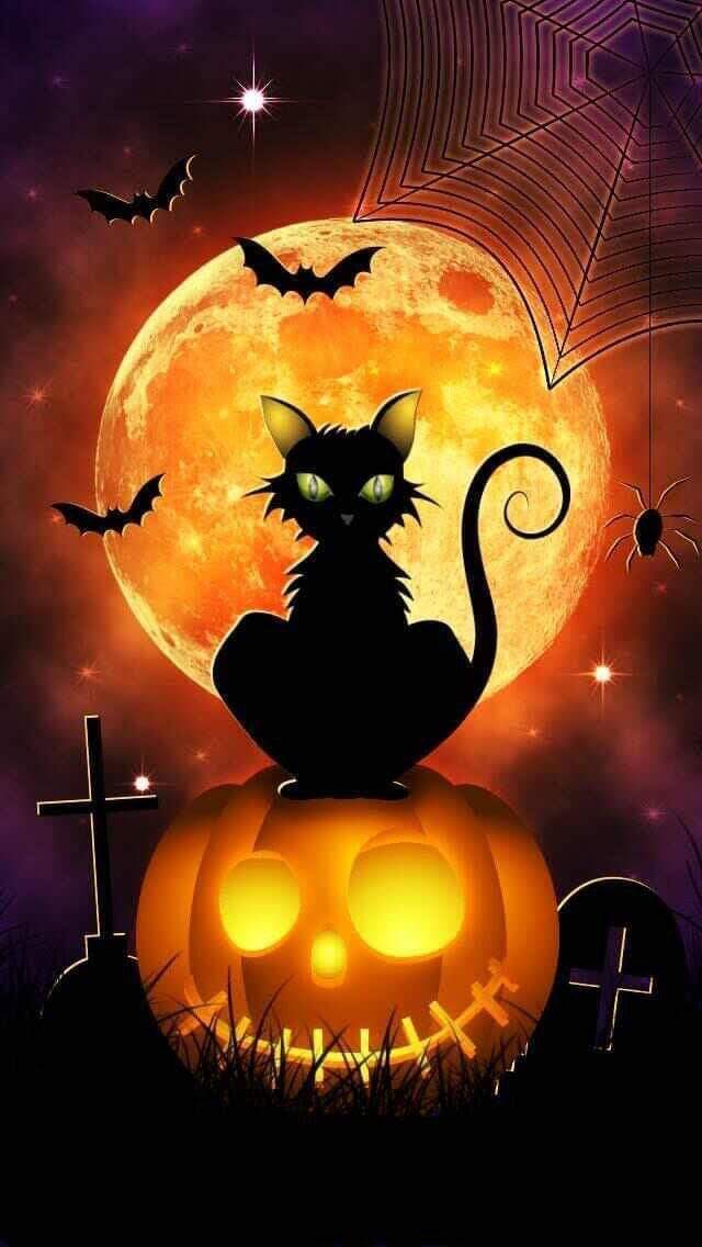 Cat and Pumpkin