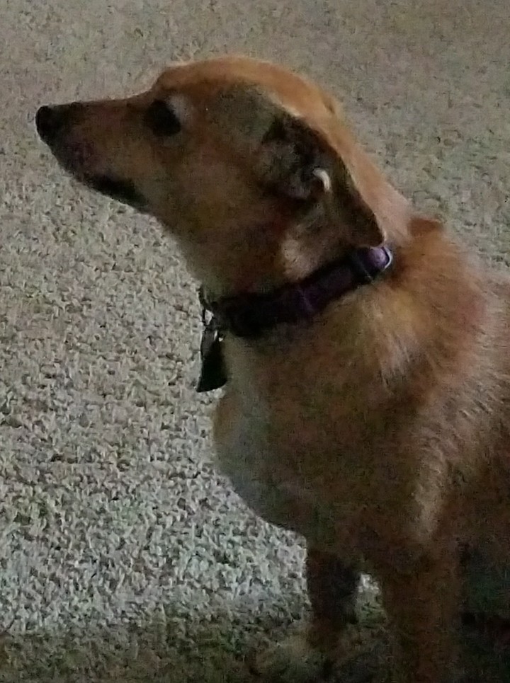 sit