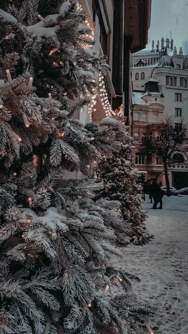 Christmas holidays