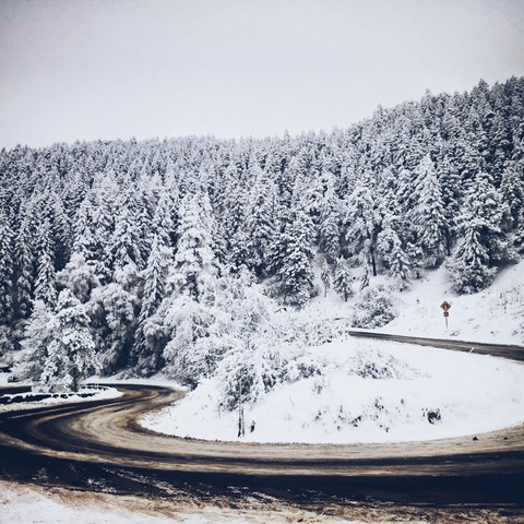 Winding Road